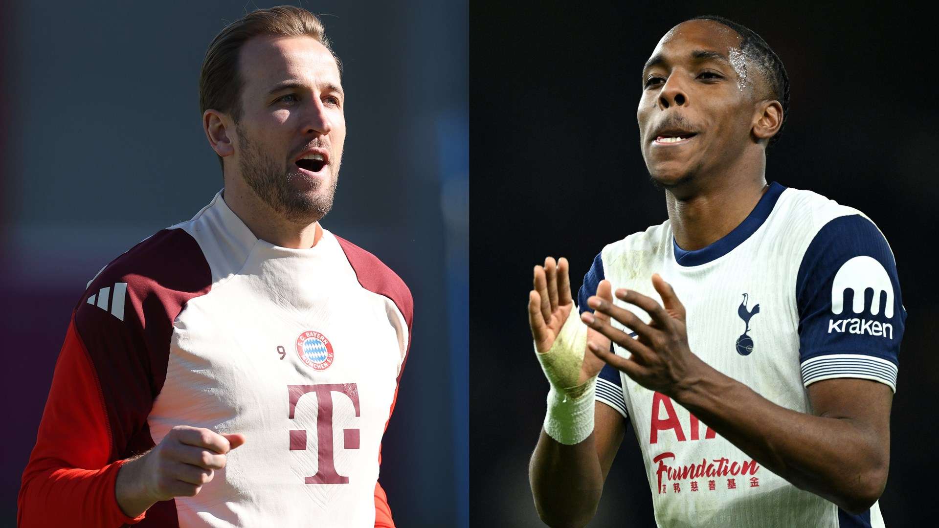 质或许也存 质或许也存